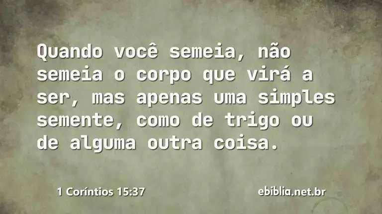 1 Coríntios 15:37