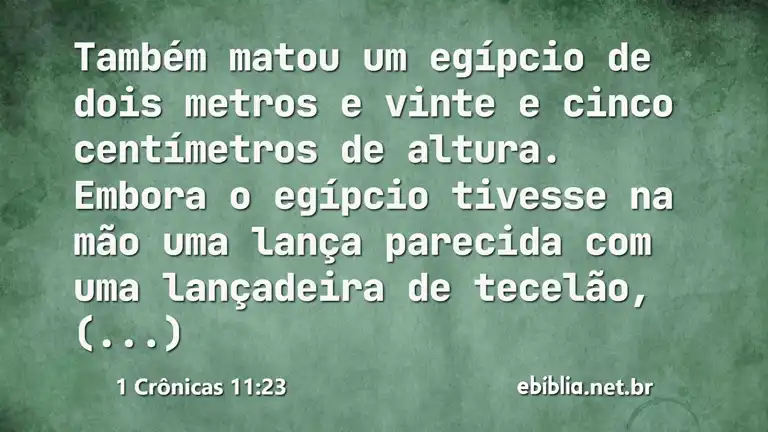 1 Crônicas 11:23