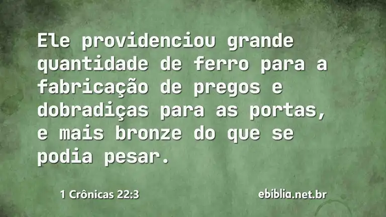 1 Crônicas 22:3