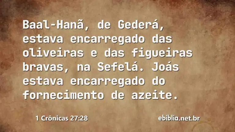 1 Crônicas 27:28