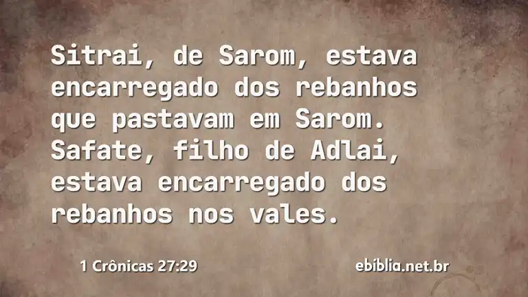 1 Crônicas 27:29