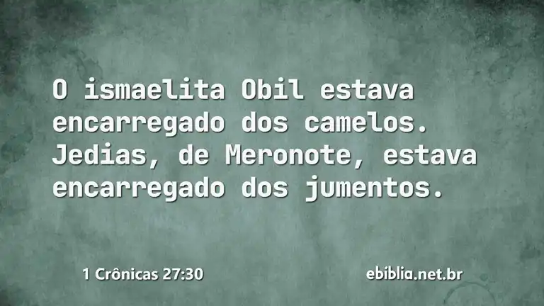 1 Crônicas 27:30