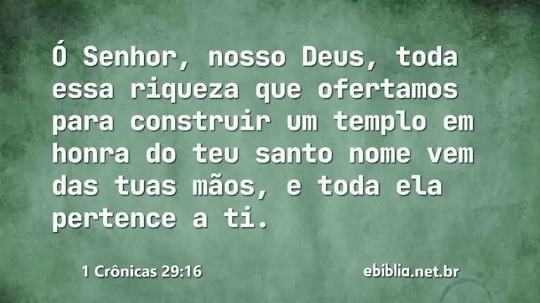 1 Crônicas 29:16