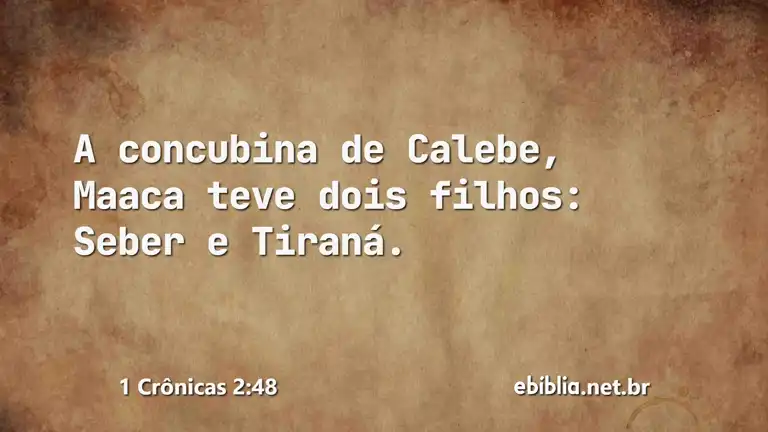 1 Crônicas 2:48