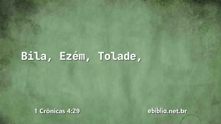 1 Crônicas 4:29