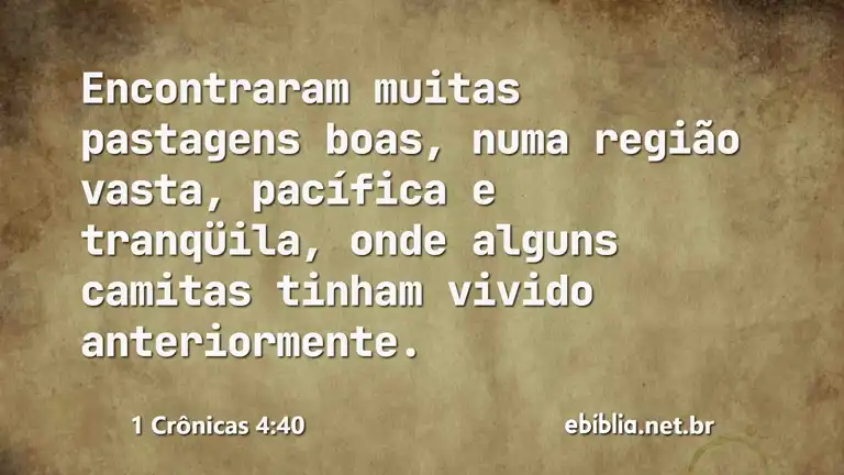 1 Crônicas 4:40