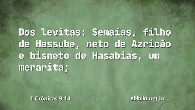 1 Crônicas 9:14