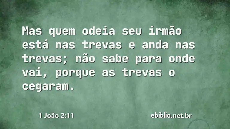 1 João 2:11