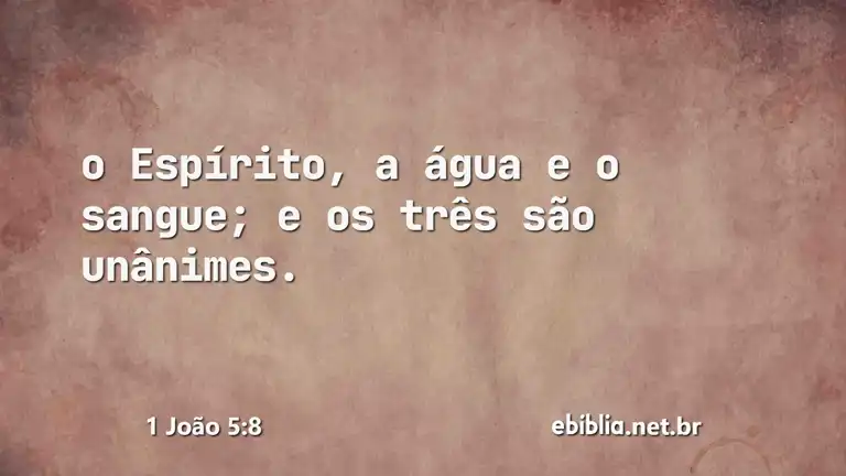 1 João 5:8