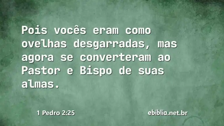 1 Pedro 2:25