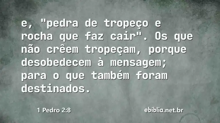 1 Pedro 2:8