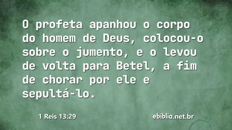 1 Reis 13:29