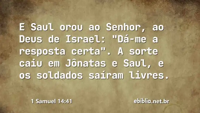 1 Samuel 14:41