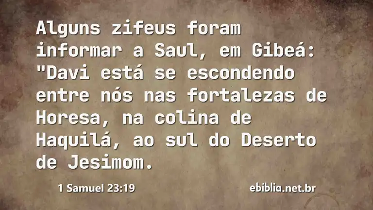 1 Samuel 23:19