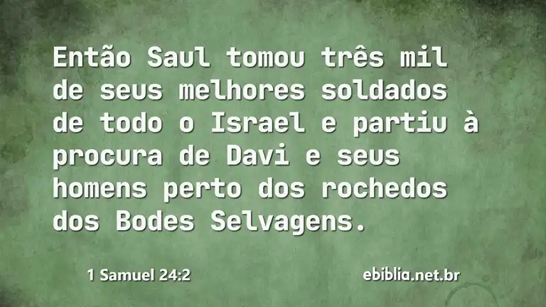 1 Samuel 24:2