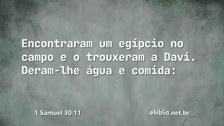 1 Samuel 30:11