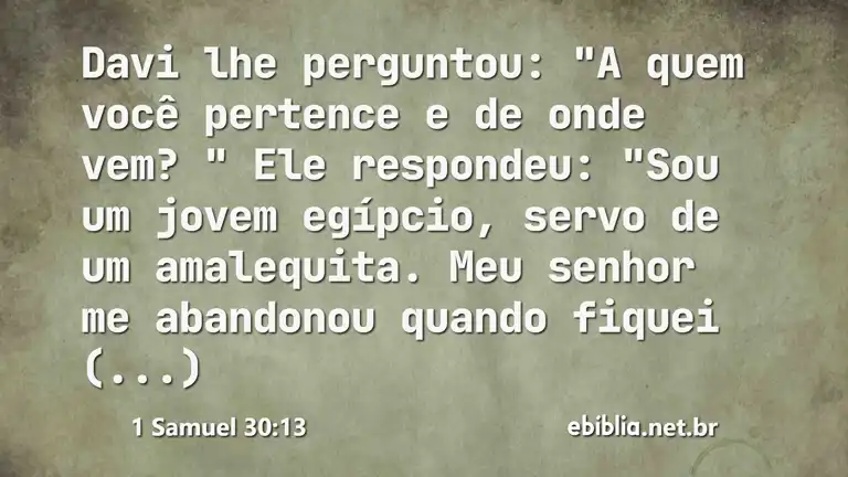 1 Samuel 30:13