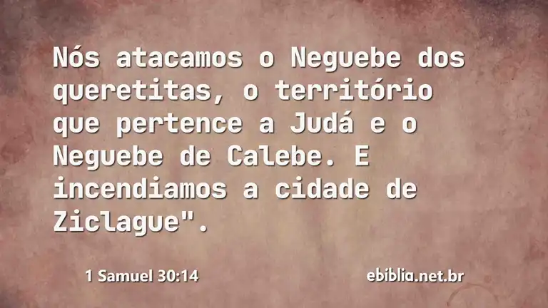 1 Samuel 30:14