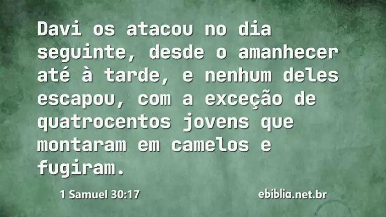 1 Samuel 30:17