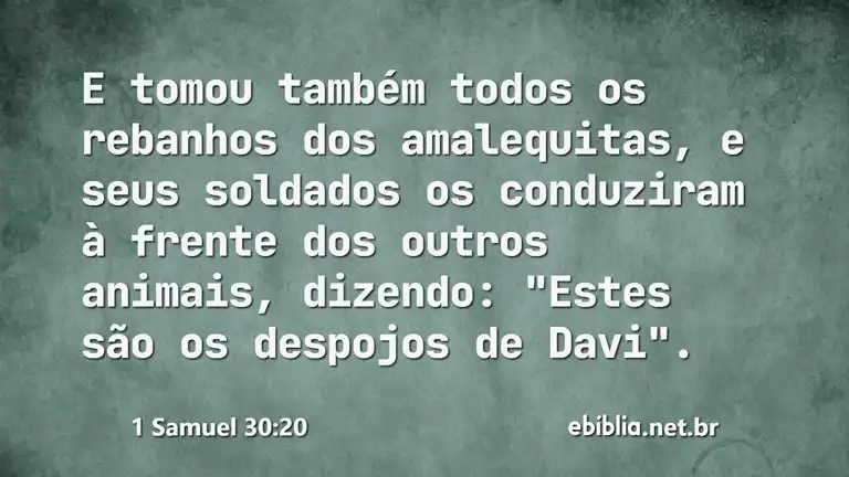 1 Samuel 30:20