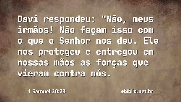 1 Samuel 30:23