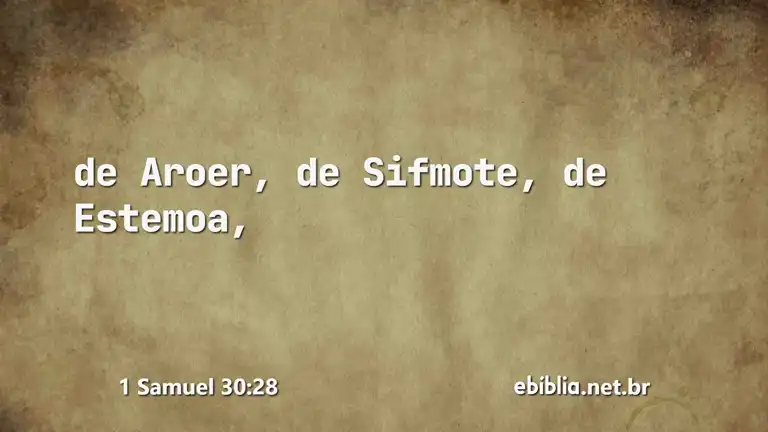 1 Samuel 30:28