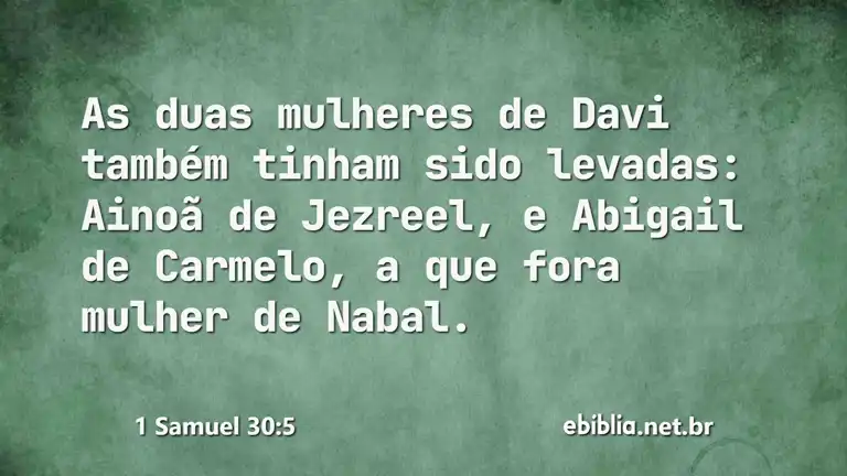 1 Samuel 30:5