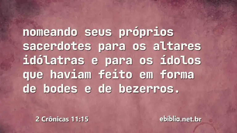 2 Crônicas 11:15