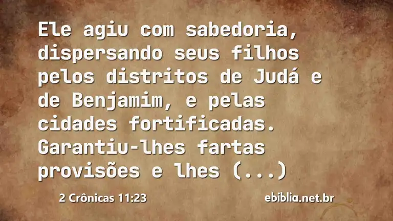 2 Crônicas 11:23