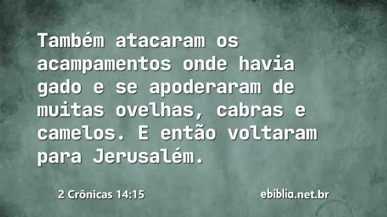 2 Crônicas 14:15