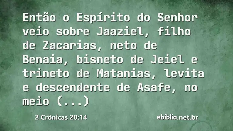 2 Crônicas 20:14