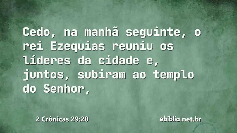 2 Crônicas 29:20