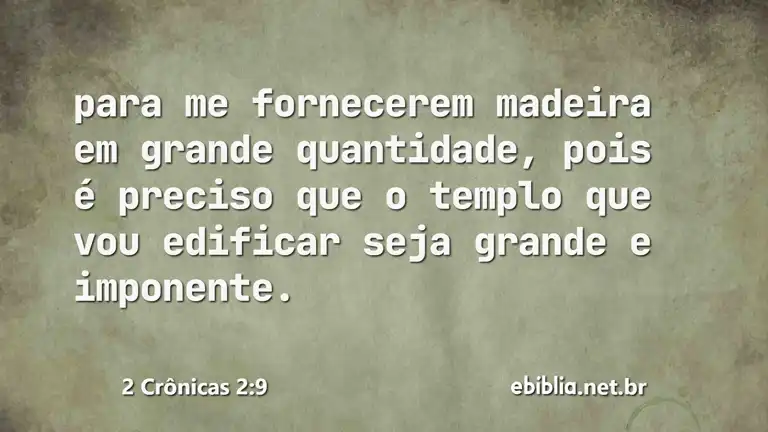 2 Crônicas 2:9