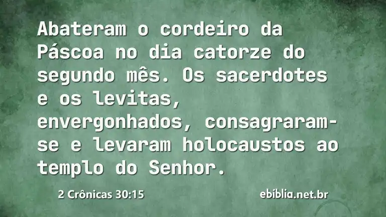 2 Crônicas 30:15