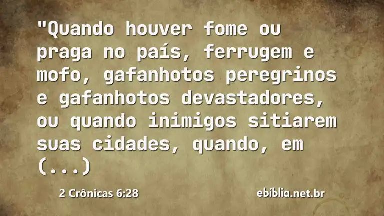 2 Crônicas 6:28