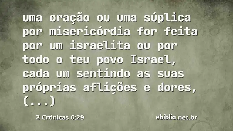 2 Crônicas 6:29