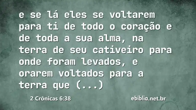 2 Crônicas 6:38