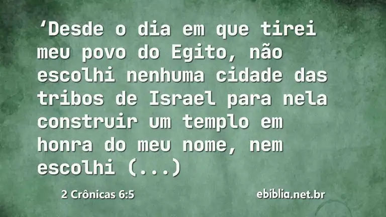 2 Crônicas 6:5