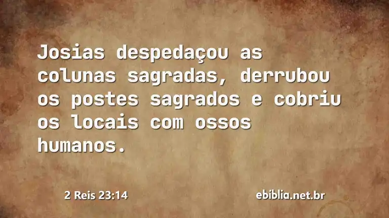 2 Reis 23:14