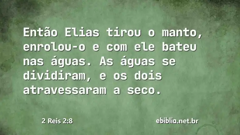 2 Reis 2:8