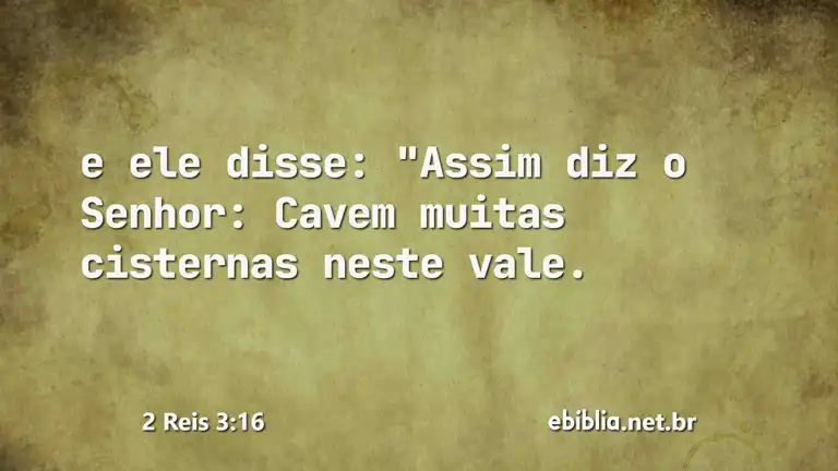 2 Reis 3:16