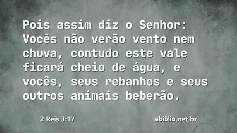 2 Reis 3:17