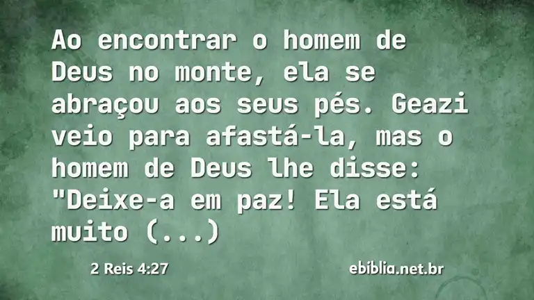 2 Reis 4:27