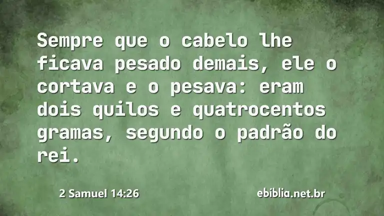 2 Samuel 14:26