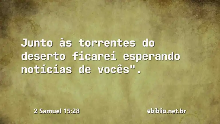 2 Samuel 15:28