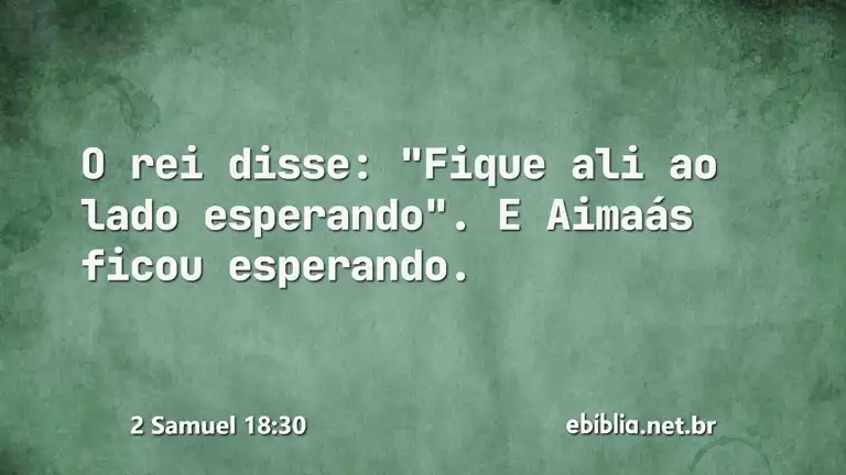 2 Samuel 18:30