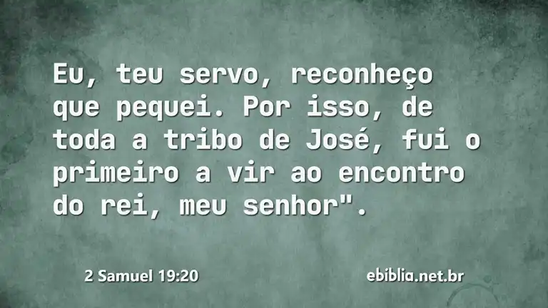 2 Samuel 19:20