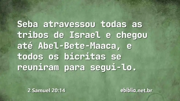 2 Samuel 20:14