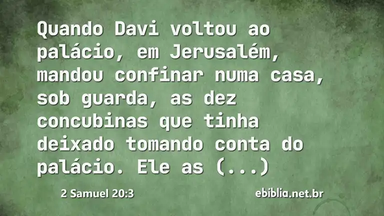 2 Samuel 20:3