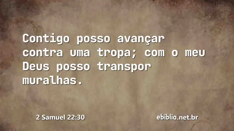 2 Samuel 22:30